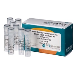 BIOSEARCH TECHNOLOGIES INC (Lucigen) MMLV Reverse Transcriptase 1St-Strand