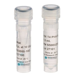 LGC GENOMICS LLC (Lucigen) T4 Polynucleotide Kinase, Cloned, 3,000 U @