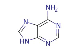 eMolecules​ Oakwood Chemical | Adenine | 25g | 537715212 | 214821 |  | 73-24-5 | MFCD00041790 | 135.130 | C5H5N5