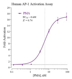 Indigo Biosciences Human Activator Protein-1 (AP-1) All-inclusive Cell-Based