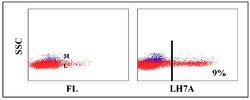 Kingfisher Biotech Inc Anti-llama B cell subpopulation Monoclonal Antibody