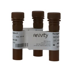 Revvity Health Sciences Inc ViaStain Calcein AM / Hoechst / PI Cell Viability