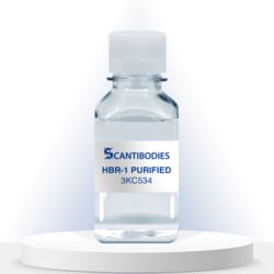 SCANTIBODIES LABORATORY INC HBR 1, PURIFIED (3KC534) 1.0G, Quantity: Each