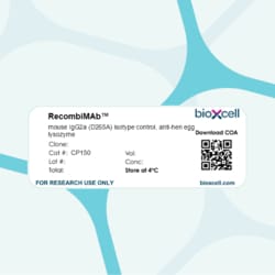 Bio X Cell RecombiMAb mouse IgG2a (D265A) isotype control, anti-hen egg