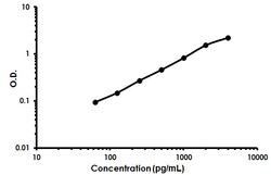 Abcam Human MMP-12 ELISA Kit, 1 x 96 Tests, Quantity: Each of 1