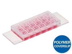 Ibidi USA U-SLIDE 18 Well -Box: 15 (individually packed), Quantity: Each