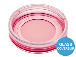 Ibidi USA U-DISH 35 mm LOW Glass Bottom #1.5h, Quantity: Pack of 60
