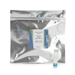 LICOR&nbsp;IRDye 680RD DBCO Infrared Dye (0.5mg)