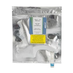 LICOR&nbsp;IRDye 750 Maleimide Infrared Dye ( 0.5mg)