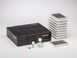 Lonza Walkersville SG Cell Line 96-well Nucleofector Kit (960 RCT), Quantity: