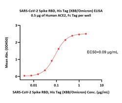 ACROBiosystems SARS-CoV-2 Spike RBD Protein (XBB/Omicron), C-terminal His