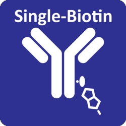 ALPHATHERA&nbsp;oYo-Link Single-Biotin Antibody Labeling Reagent- Labels 500ug