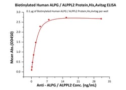 ACROBiosystems HUMAN ALPG/ALPPL2 PROTEIN,HIS, Quantity: Each of 1