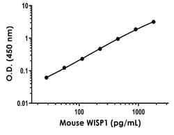 Abcam Mouse WISP1 ELISA Kit - Extracellular, 1 x 96 Tests, Quantity: Each
