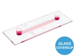 Ibidi USA U-SLIDE I 0.4 LUER GLASS BOTTM 1.5H (170 um +/- 5 um) D 263 M