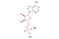 eMolecules​&nbsp;Adenosine 5'-monophosphate disodium salt | Combi-Blocks | 4578-31-8 |  | 391.187 | C10H12N5Na2O7P | 98.000 | [Na+].[Na+].Nc1ncnc2n(cnc12)[C@@H]1O[C@H](COP([O-])([O-])=O)[C@@H](O)[C@H]1O | 25g | 205408953