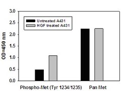 Abcam Met (pY1234/pY1235) + total Met ELISA Kit, 1 x 96 Tests, Quantity: