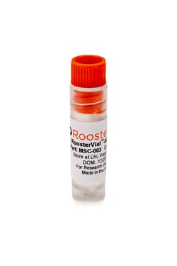 Roosterbio Inc RoosterVial -hBM: Human Bone Marrow-Derived Mesenchymal