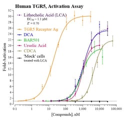Indigo Biosciences Human G Protein-Coupled Bile Acid Receptor (TGR5) Reporter