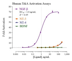 Indigo Biosciences&nbsp;Human Tropomyosin Receptor Kinase A (TrkA, NTRK1) Reporter Assay System, All-inclusive Cell-Based Luciferase Reporter Assay Kit, 96-well assay plate format