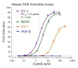Indigo Biosciences&nbsp;Human Tropomyosin Receptor Kinase B (TrkB) Reporter Assay System, All-inclusive Cell-Based Luciferase Reporter Assay Kit, 96-well assay plate format