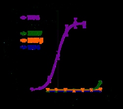 Indigo Biosciences Human Tropomyosin Receptor Kinase C (TrkC) Reporter Assay System, All-inclusive Cell-Based Luciferase Reporter Assay Kit, 96-well assay plate format