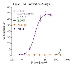 Indigo Biosciences&nbsp;Human Tropomyosin Receptor Kinase C (TrkC) Reporter Assay System, All-inclusive Cell-Based Luciferase Reporter Assay Kit, 96-well assay plate format