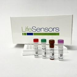 LifeSensors&nbsp;E3LITE Ubiquitin Ligase PLATE only 96-well