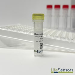 LifeSensors SUMO Protease 2 5000U, Quantity: Each of 1