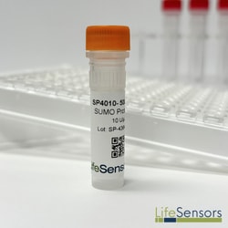 LifeSensors&nbsp;SUMO Protease 1 5000 Units