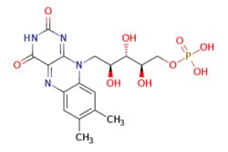 eMolecules​&nbsp;flavin mononucleotide | Angene Chemical | 146-17-8 | MFCD00022260 | 456.348 | C17H21N4O9P | 95.000 | Cc1cc2nc3c(nc(=O)[nH]c3=O)n(C[C@H](O)[C@H](O)[C@H](O)COP(O)(O)=O)c2cc1C | 100mg | 768961446