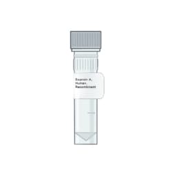 AMID BIOSCIENCES&nbsp;Amid Biosciences, BL21(DE3) pBirA Chemically Competent E. coli Cells, In Vivo Biotinylation, 10 x 0.1 mL