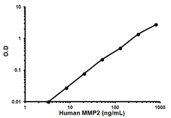 Abcam Human MMP2 ELISA Kit, 1 x 96 Tests, Quantity: Each of 1
