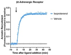 Montana Molecular&nbsp;Borealis Arrestin Assay - B2AR D2040G, CMV, 10mL