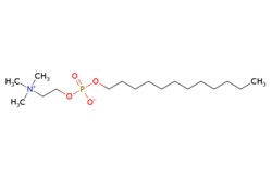 eMolecules​ 29557-51-5 | Dodecylphosphocholine | Medchem Express | MFCD00674306