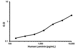 Abcam Human Laminin ELISA Kit, 1 x 96 Tests, Quantity: Each of 1