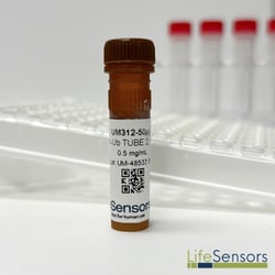 LifeSensors&nbsp;Tandem Ubiquitin Binding Entities (TUBE2) HRP 50µg