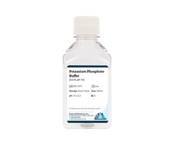 Boston Bioproducts Inc&nbsp;Potassium Phosphate Buffer (0.5 M, pH 7.4) - 500ml