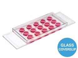 Ibidi USA µ-Slide 15 Well 3D Glass Bottom, Quantity: Pack of 1