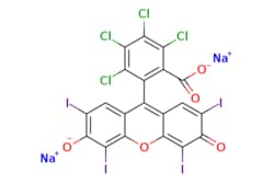 eMolecules​&nbsp;ROSE BENGAL | AstaTech | 632-69-9 | MFCD00005043 | 1017.630 | C20H2Cl4I4Na2O5 | 95.000 | [Na+].[Na+].[O-]C(=O)c1c(Cl)c(Cl)c(Cl)c(Cl)c1-c1c2cc(I)c([O-])c(I)c2oc2c(I)c(=O)c(I)cc12 | 25g | 449764793