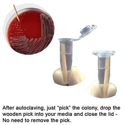 Chemglass Life Sciences&nbsp;Chemglass Inoculation Pick, Standard Needle Point, 0.254 cm OD x 6.35 cm, 1,600/Pack