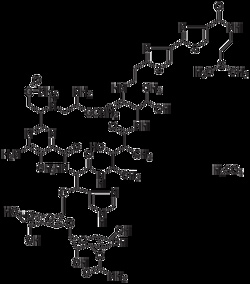 Lkt Laboratories&nbsp;CAS 9041-93-4, ≥90%, Mixture of glycopeptide bleomycin sulfate salts that induces DNA strand breaks and is used to treat various cancers.
