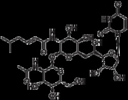 Lkt Laboratories CAS 11089-65-9, ≥98%, GlcNAc phosphotransferase and glycoprotein