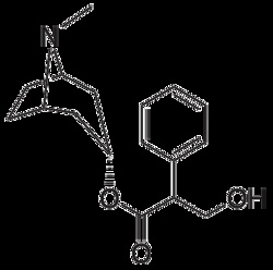 Lkt Laboratories CAS 51-55-8, ≥98%, mAChR antagonist found in Solanaceae
