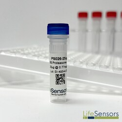 LifeSensors 26S Proteasome 50µg, Quantity: Each of 1
