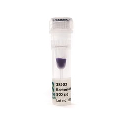 CUBE BIOTECH hs bacteriorhodopsin, Quantity: Each of 1