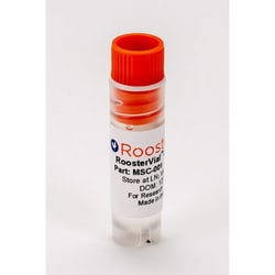 Roosterbio Inc RoosterVial -hBM: Human Bone Marrow-Derived Mesenchymal