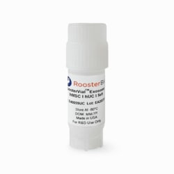 Roosterbio Inc RoosterVial Exosomes: Exosomes collected from Xeno-Free