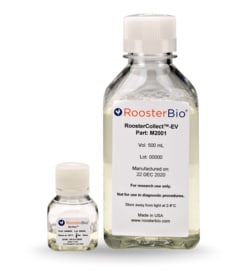 Roosterbio Inc&nbsp;RoosterCollect EV Pro&trade;: A media kit designed for post-cell expansion EV production and collection.