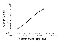 Abcam Human/Mouse PGP9.5 Antibody Pair, 10 x 96 tests, BSA free, Azide